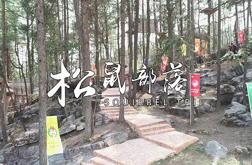松鼠部落-浙江鵬鳴游樂(lè)設(shè)備有限公司